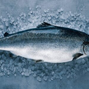 Norwegian Salmon Cuts
